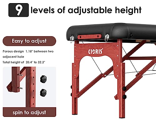 CLORIS 84" Portable Massage Table with Carrying Bag Z191211