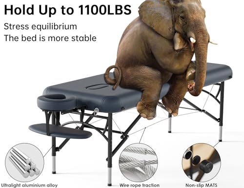 CLORIS 84" Portable Massage Table with Carrying Bag Z191211