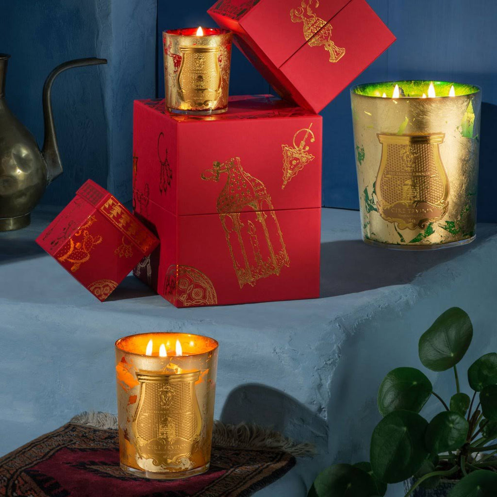 Cire Trudon Ernesto Scented Classic Candle 270g Q60101