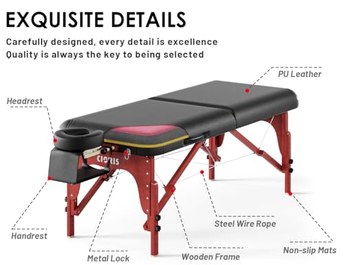 CLORIS 84" Portable Massage Table with Carrying Bag Z191211