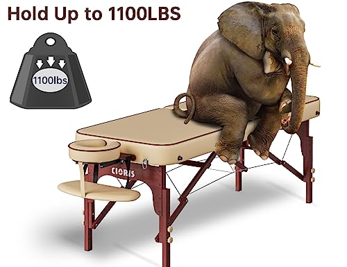CLORIS 84" Portable Massage Table with Carrying Bag Z191211